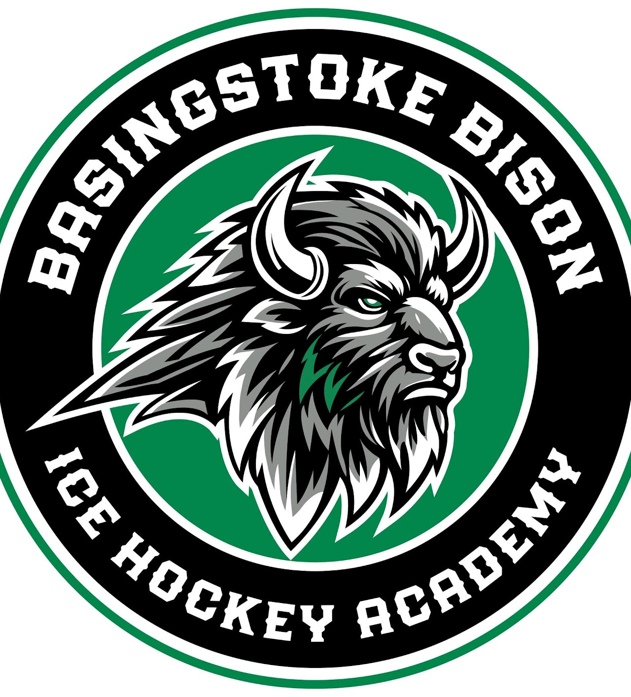 Basingstoke Bison 2